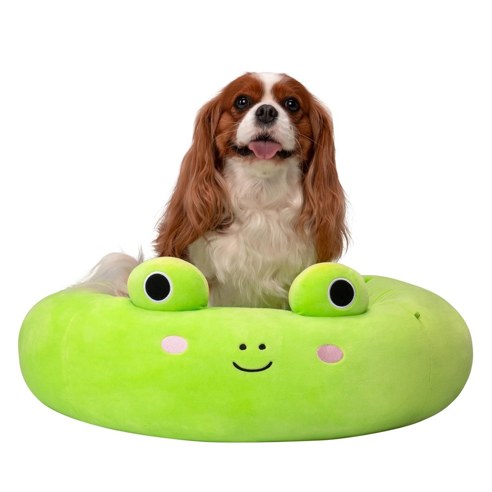 Brand New Squishmallows Pet Dog Cat Bed Wendy Frog RARE Plush Bed Pets Host Pick
